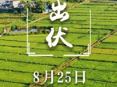 今天出伏！“加長版三伏”終于結(jié)束啦